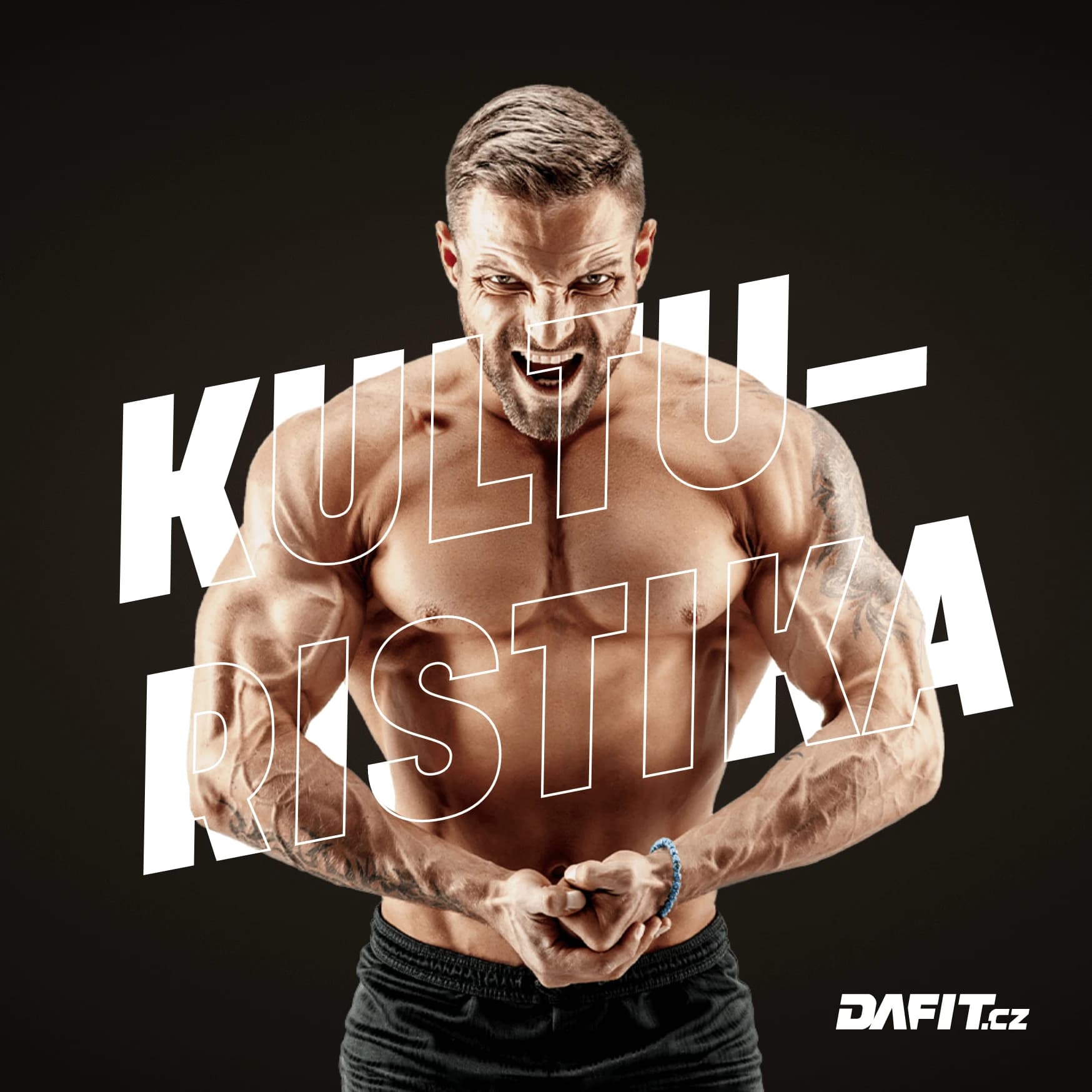Dafit kategorie kulturistika a fitness